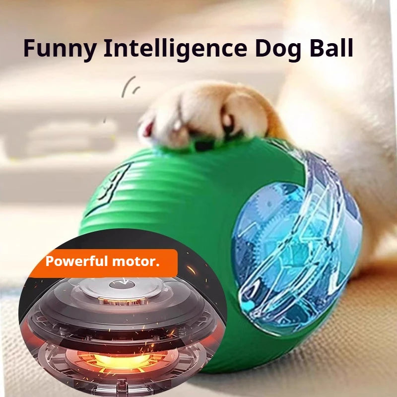 Smart Rolling Dog Ball