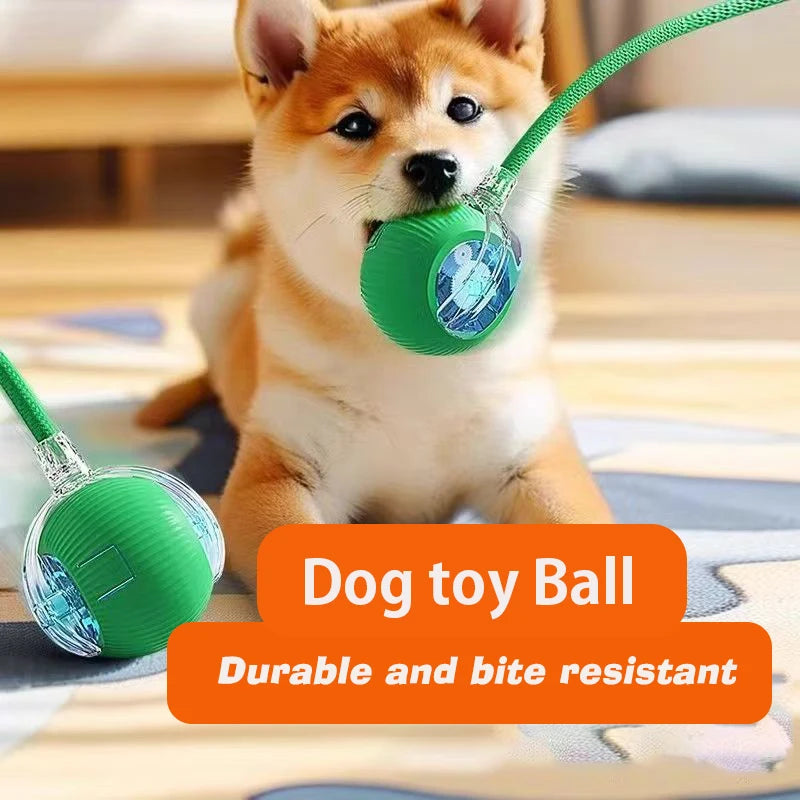 Smart Rolling Dog Ball
